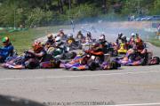 20110501_ales_agnus (2094)